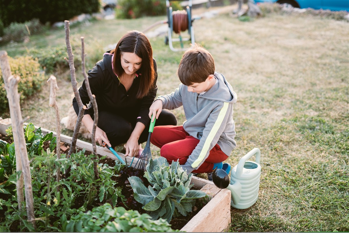 engrais naturel pour votre potager