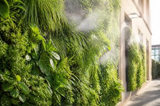 découvrez comment les plantes absorbant l'humidité des murs extérieurs contribuent à améliorer la qualité de l'air en réduisant l'humidité et en purifiant l'environnement autour de votre habitation.